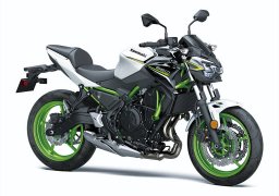 Kawasaki_z650_abs_2021_1.jpg
