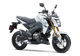 Kawasaki_z125_pro_2021_1.jpg