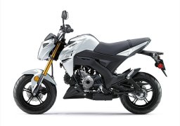 Kawasaki_z125_pro_2021_2.jpg