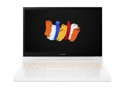 Acer_conceptd_3_ezel_cc315_72_5308_1.jpg