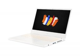 Acer_conceptd_3_cn314_72g_791l_2.jpg