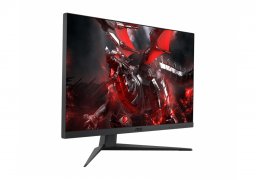 Msi_optix_g251f_2.jpg