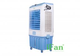 Ifan_5000a_1.jpg