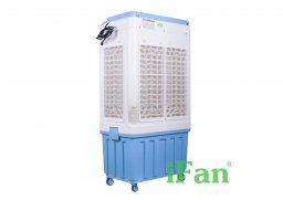 Ifan_5000a_2.jpg