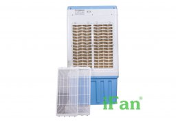 Ifan_5000a_3.jpg