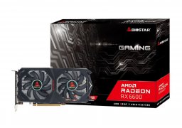 Biostar_raderon_rx6600_va6606rm81_1.jpg