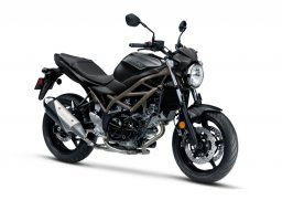 Suzuki_sv650_2022_1.jpg