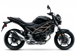 Suzuki_sv650_2022_2.jpg