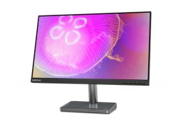 Lenovo_l24q_35_3.jpg