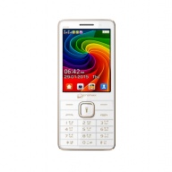 Micromax X3020