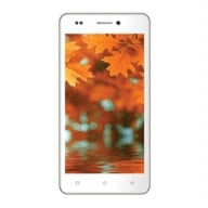 Intex Aqua Life V