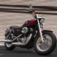 Harley-Davidson 1200 Custom 2015