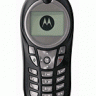 Motorola C113