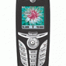 Motorola C390