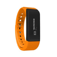 SKY Devices FITBAND