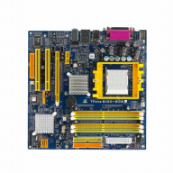 Biostar TForce 6100-939