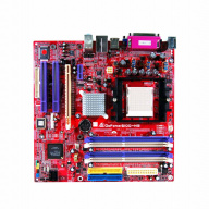 Biostar GeForce 6100-M9 Ver. 1.x