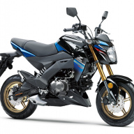 Kawasaki Z125 Pro SE 2018