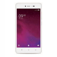 Lava Z60