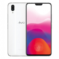 Vivo X21