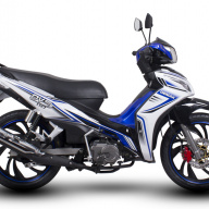 Demak DVS