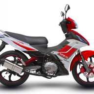 Demak Evo ZR 125R