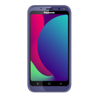 Panasonic P100