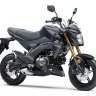Kawasaki Z125 2020