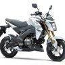 Kawasaki Z125 Pro 2021