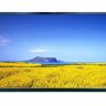 Uniview MW3232-E