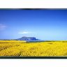 Uniview MW3243-E