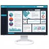 Eizo FlexScan EV2495